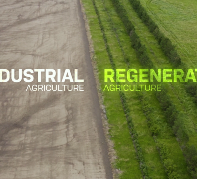 regenerative agriculture