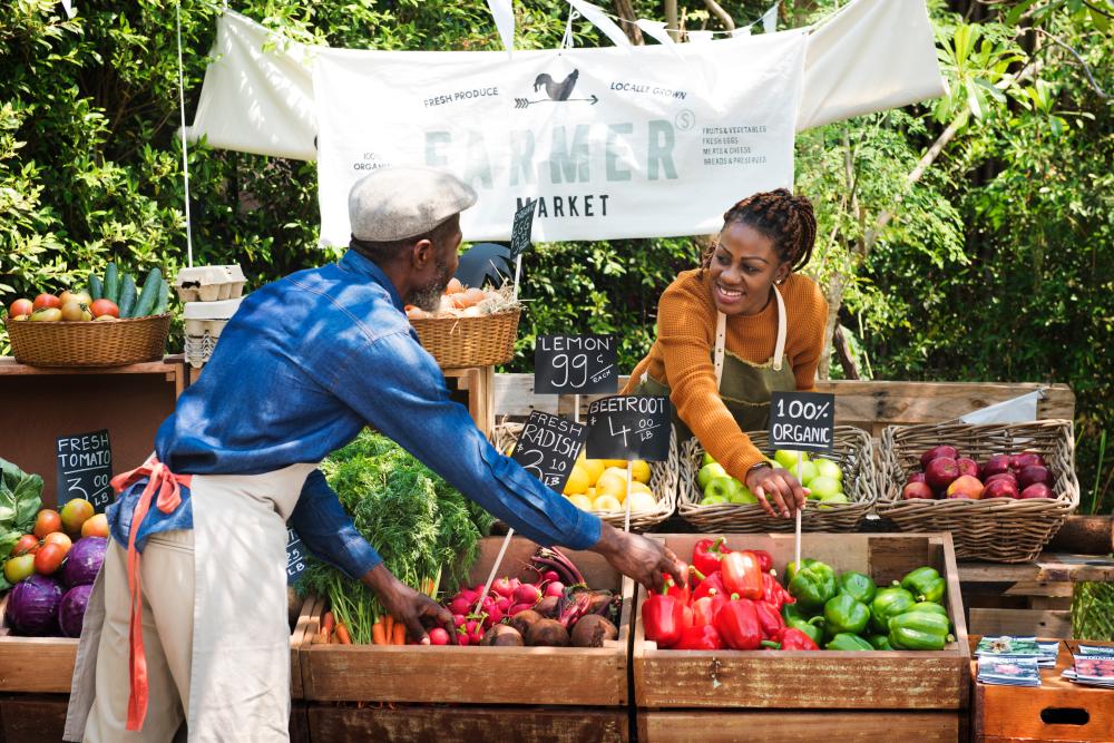 What Are Direct-to-Consumer Farm Markets? A Beginner’s Guide