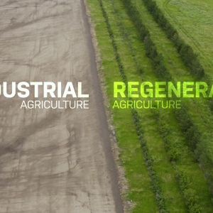 Regenerative Agriculture